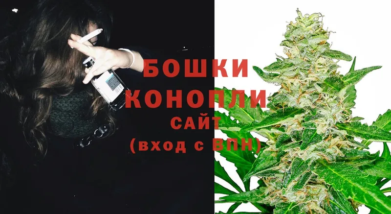 Каннабис OG Kush  Новозыбков 